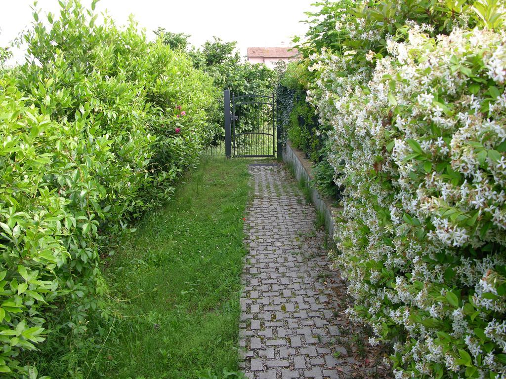 Appartamento Vacanze Magnolia e Glicine Tuoro sul Trasimeno Esterno foto